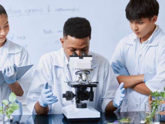 Empleo para profesor en ciencias naturales para secundaria