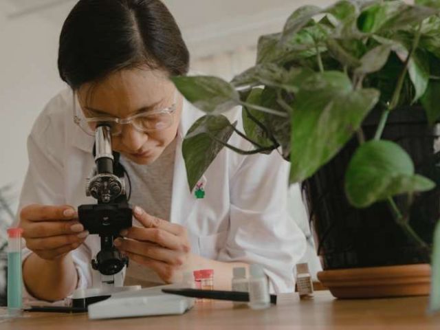 Empleo como profesor de biología, biotecnología, bioquímica