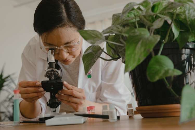 Empleo como profesor de biología, biotecnología, bioquímica