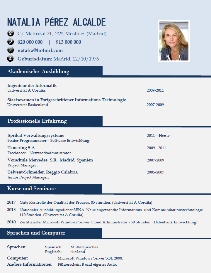 modelo de curriculum vitae profesional