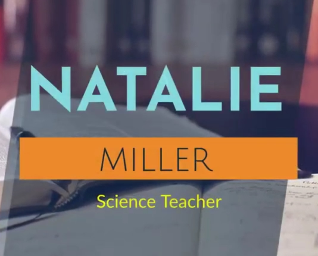resume,summary,teacher