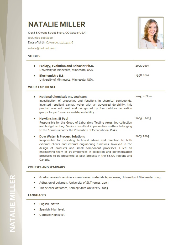 professional, resume, examples
