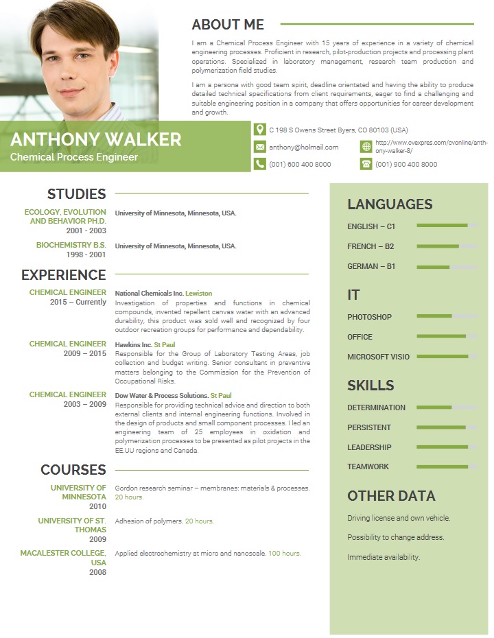 professional, resume, template