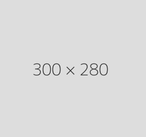 300x280