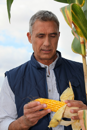 trabaja_como_agronomo